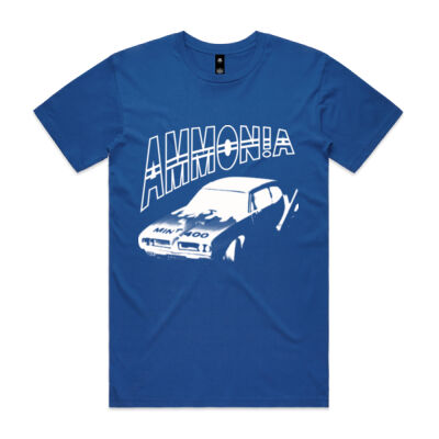 Ammonia Mint 400 Special Edition (Digital Print) Thumbnail